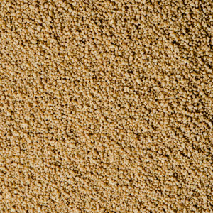 당뇨에 좋은 잡곡 종류 - 차조