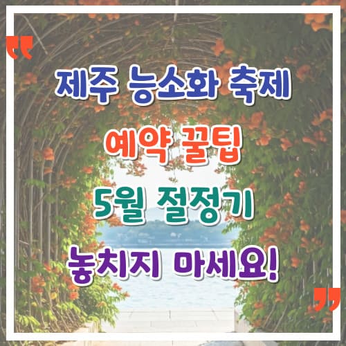 제주-능소화-축제-예약-꿀팁-5월-절정기-놓치지-마세요