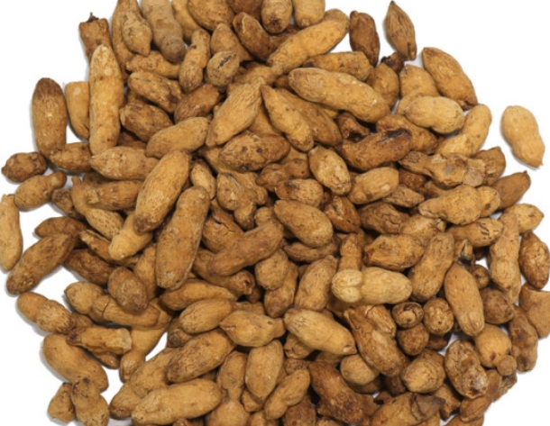 볶은 맥문동 사진입니다.