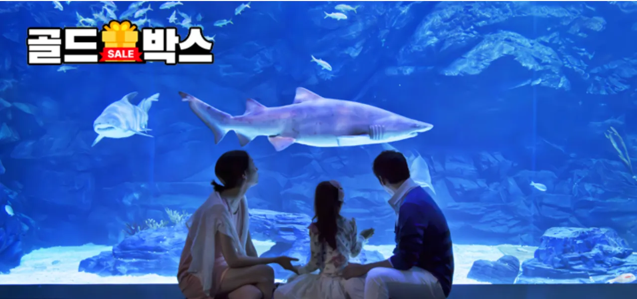 쿠팡트래블-쿠팡여행-쿠팡-여행-쿠팡와우