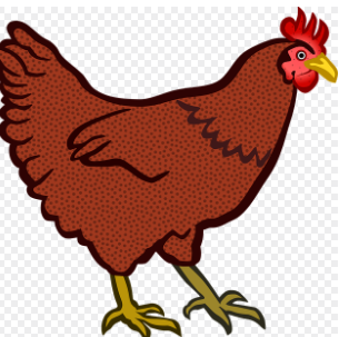 닭띠 2025년 운세