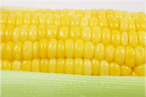 건강하게 활용하는 팁