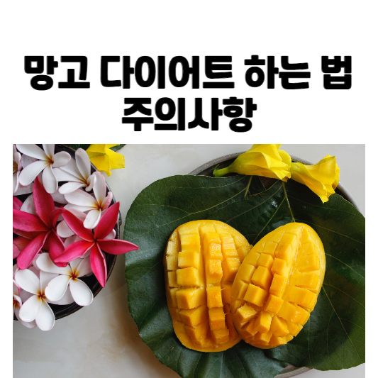 망고 다이어트 하는 법, 주의사항