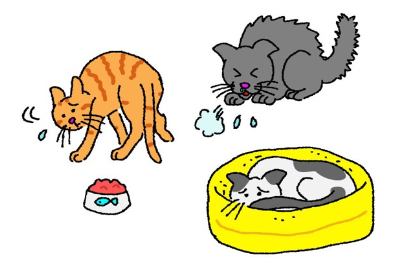 컨디션이 좋지 않은 고양이의 일러스트.