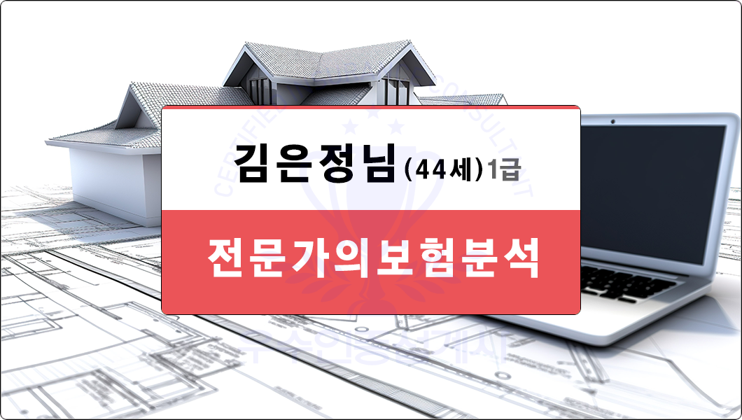 김은정님보험분석
