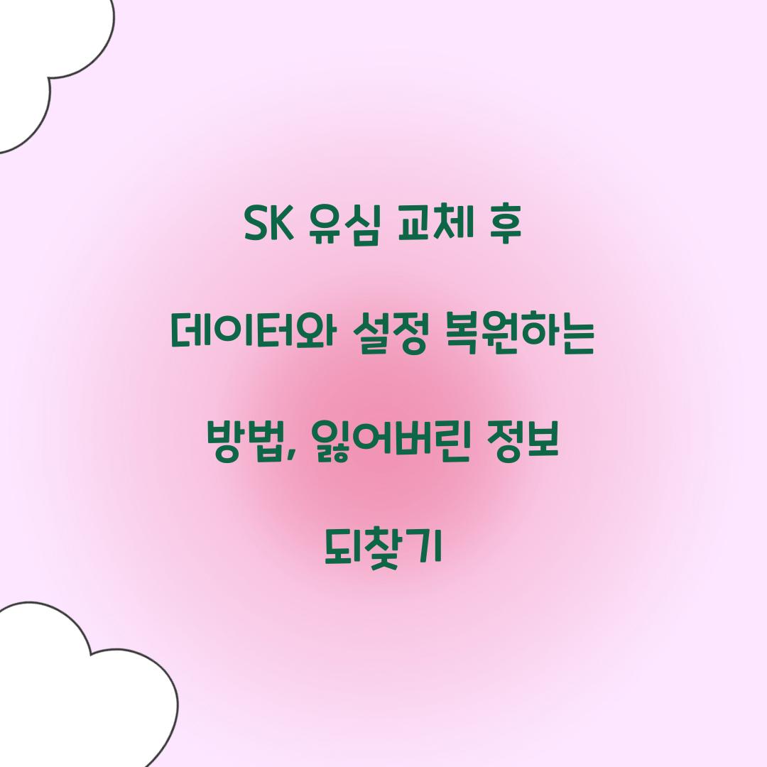 SK 유심 교체 후 데이터와 설정 복원하는 방법