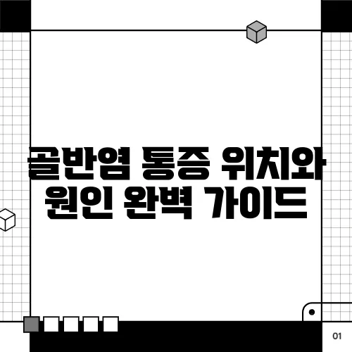 골반염 통증 위치와 원인 완벽 가이드