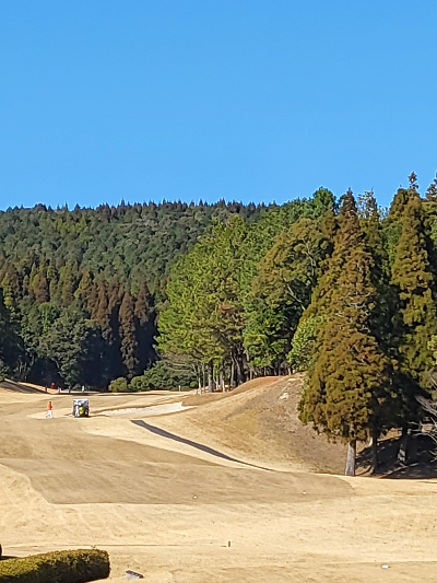 미조베C.C전경사진