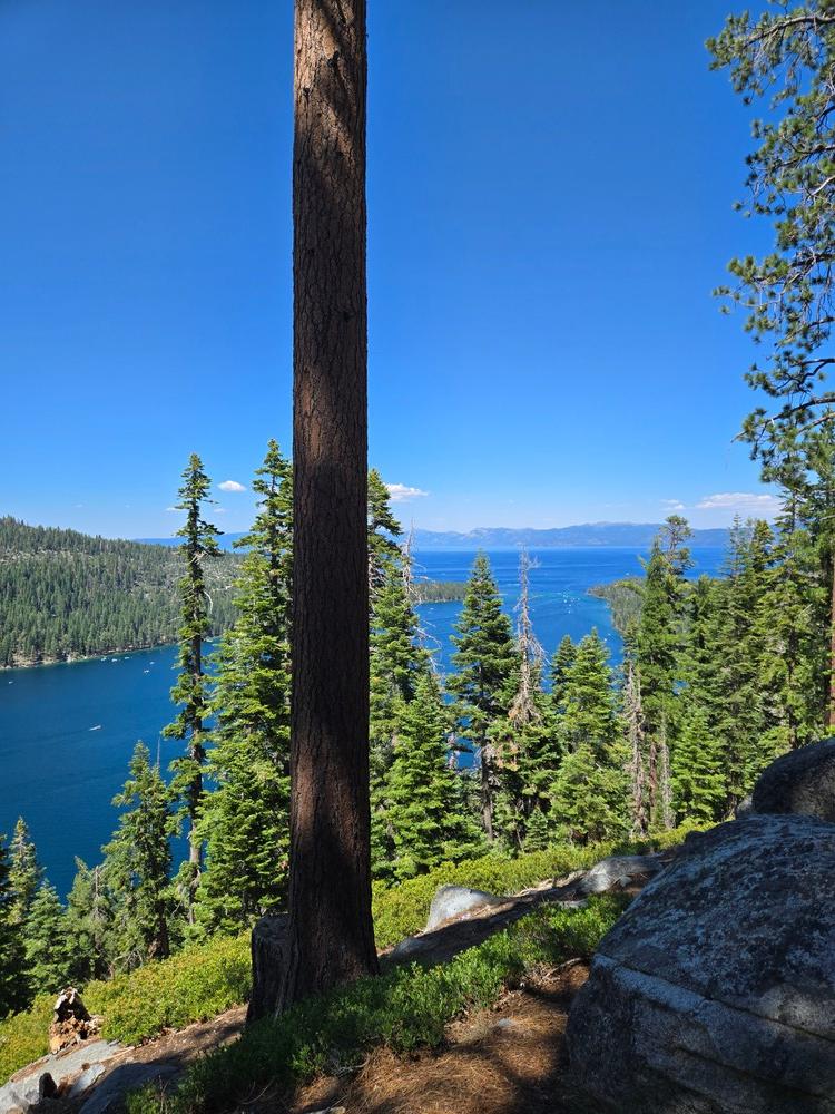 타호레이크 1박 2일 가족여행기 (1)- Family Trip to Lake Tahoe 관련사진