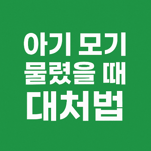 아기 모기 물렸을 때 대처법 ❘ 아기 모기 알레르기와 예방법 총정리