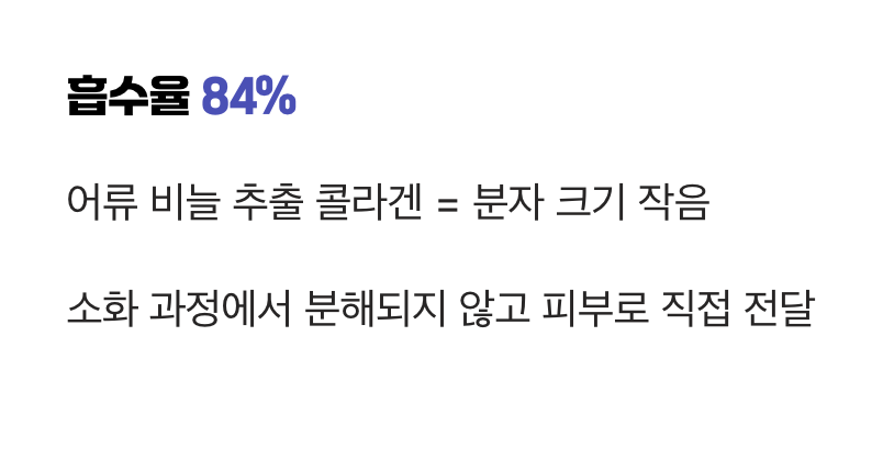 '저분자 피쉬 콜라겐'이 정답인 이유