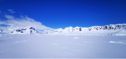 미드윈터 페스티벌(Antarctic Midwinter Festival, 남극 연구 기지)