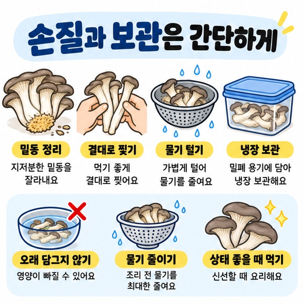 느타리버섯의 밑동 손질과 물기 제거, 냉장 보관 요령을 체크리스트로 보여주는 이미지