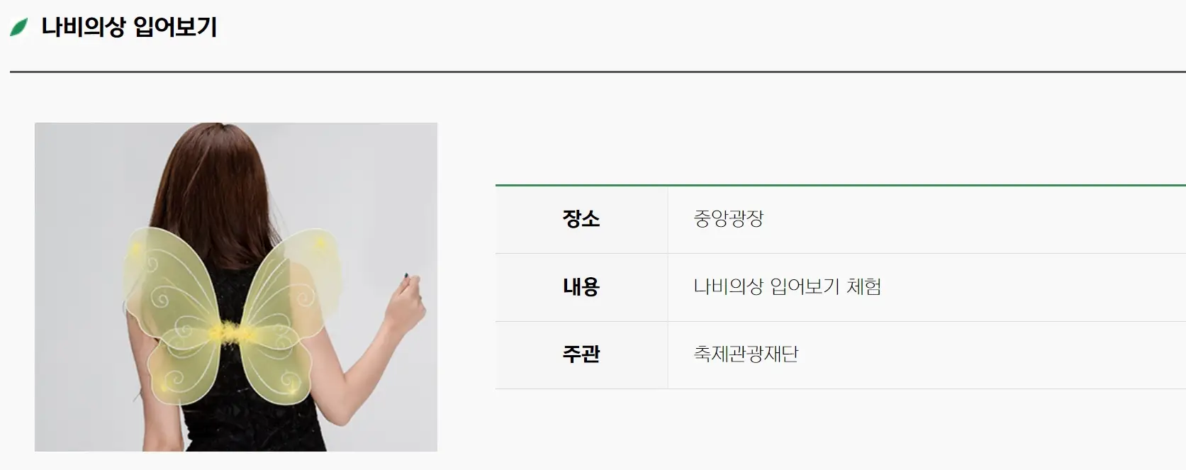 함평나비축제 기간, 주차장, 행사내용