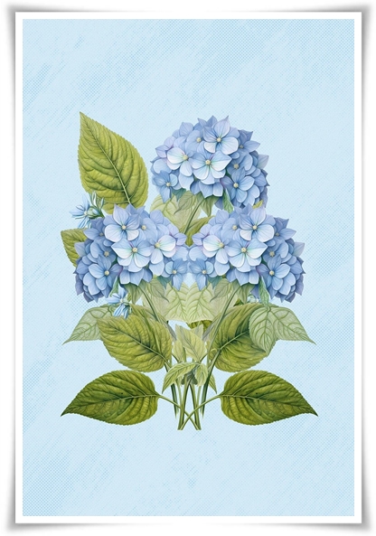 &quot;수국&quot; 여름의 아름다움을 한껏 품은 매력적인 꽃!