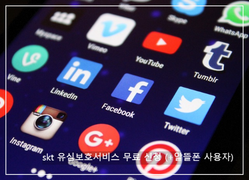 skt 유심보호서비스 무료 신청 (+알뜰폰 사용자)