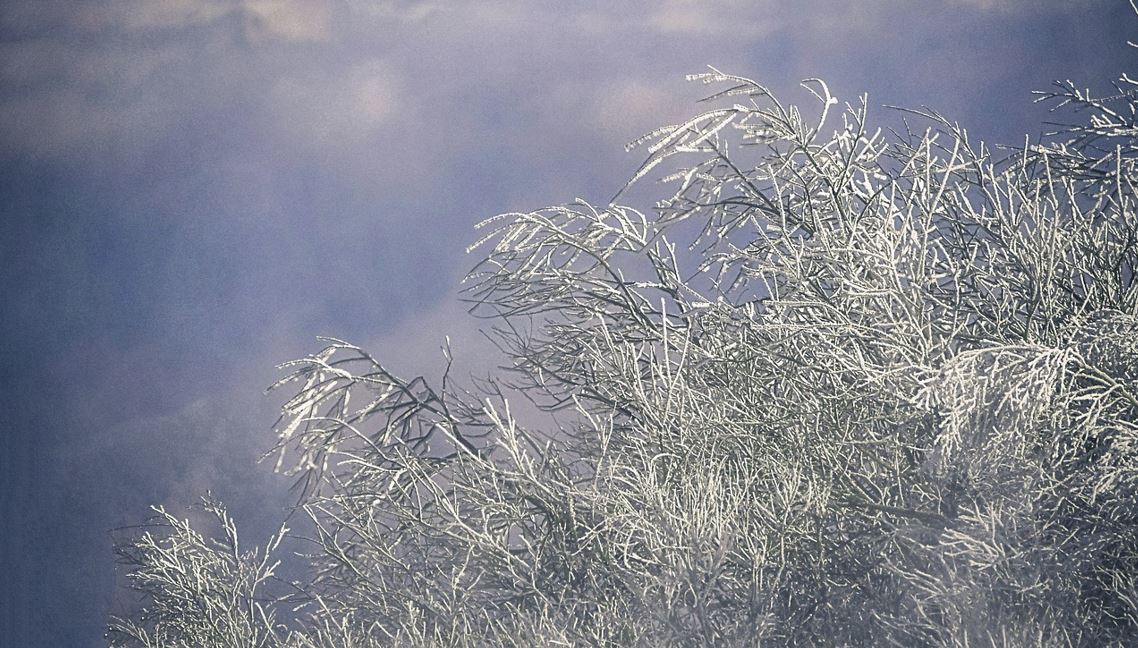 2025년 전국 스키장 개장일 완벽 정리