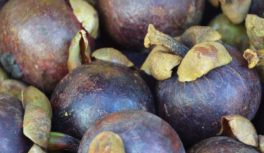 망고스틴보관법