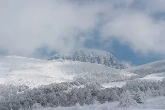 한라산 탐방로예약 시스템 등산 코스_24