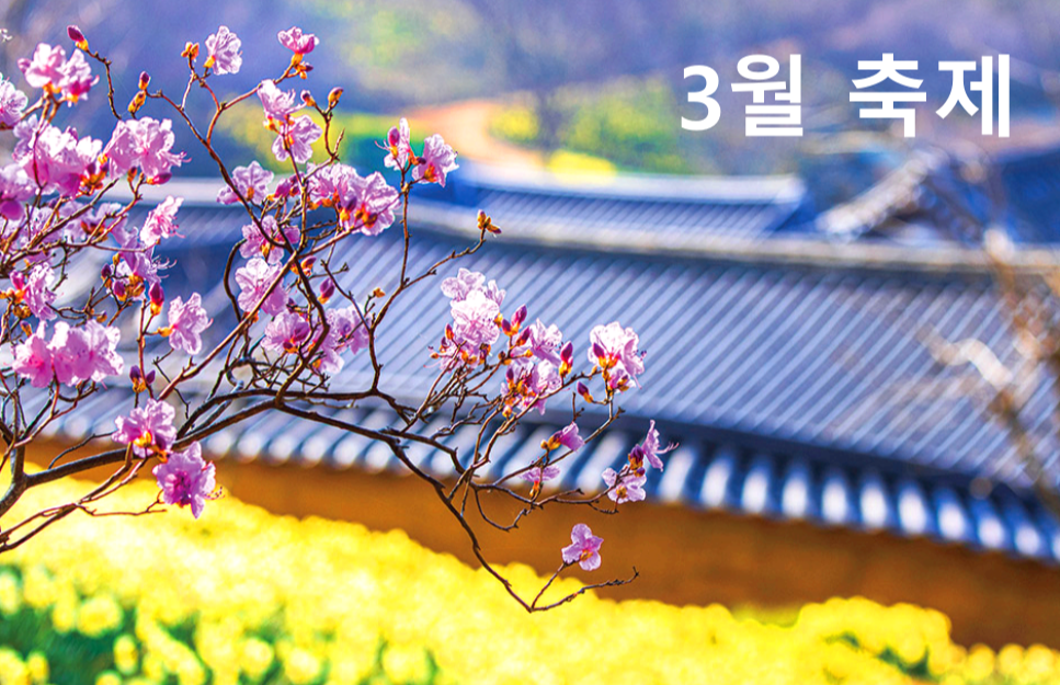 3월축제