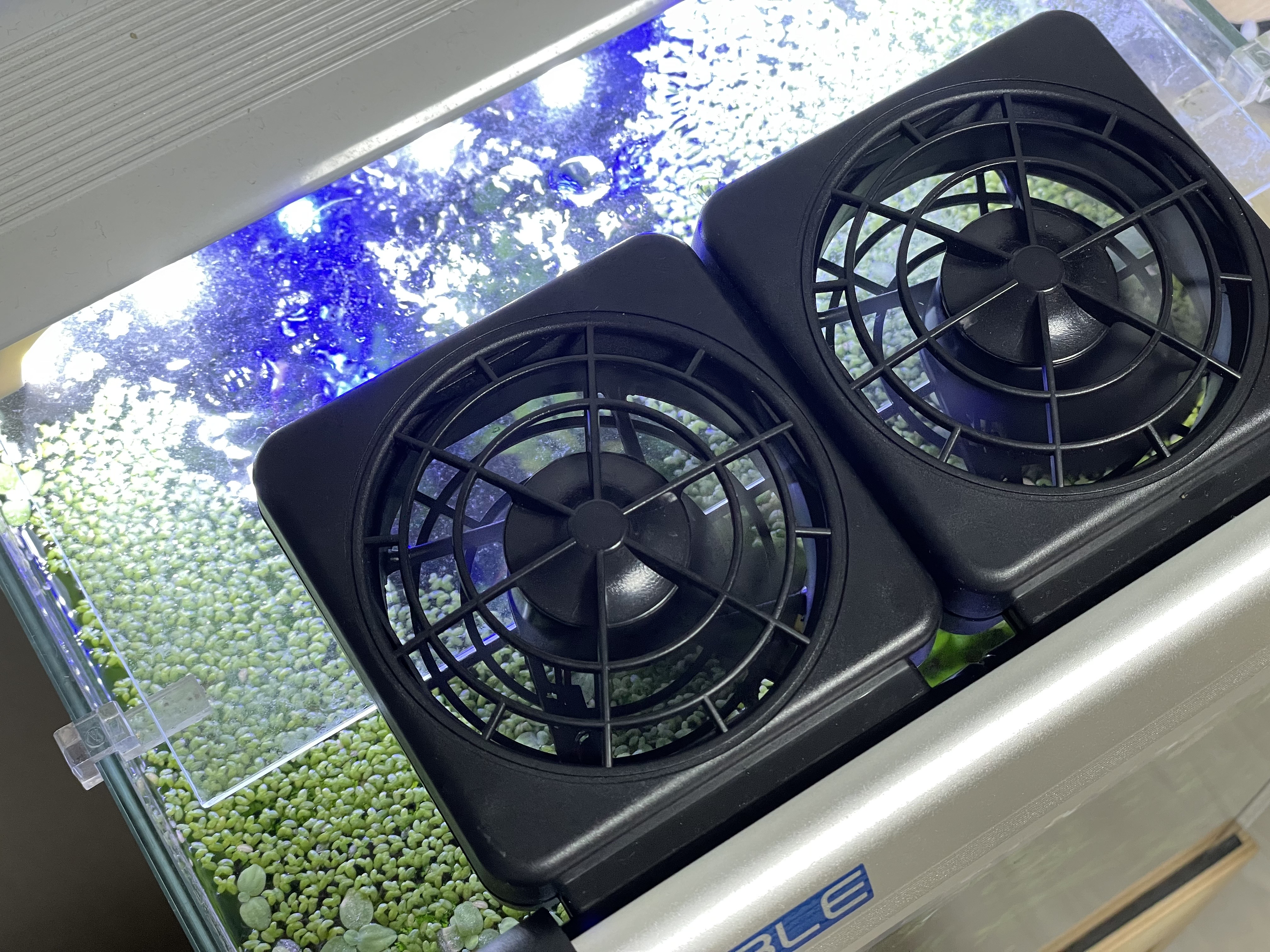 노블 어항 냉각 쿨링 팬 쿨러 사용기 - 노블 어항 냉각 쿨링팬