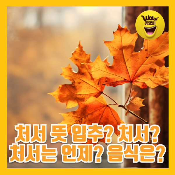 처서 한자 뜻 날짜 속담 처서매직 처서 음식 날짜 입추 처서 알아보기