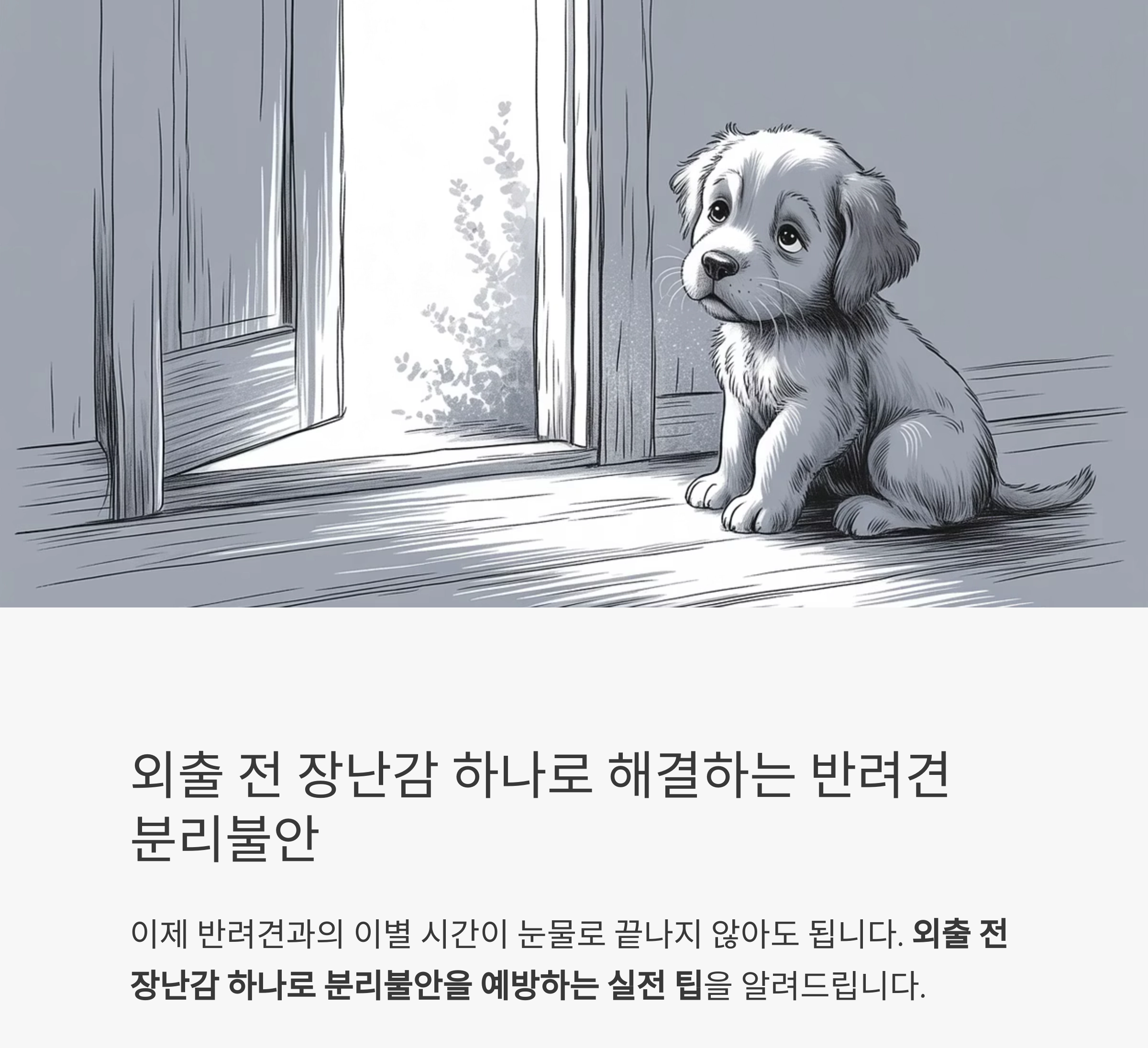 외출 전 장난감 하나로 해결하는 반려견 분리불안
