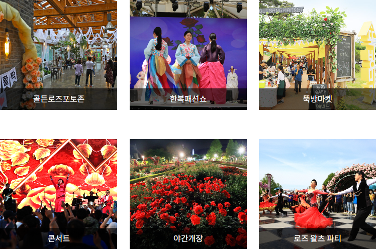 곡성 장미 축제