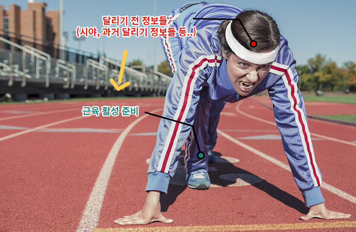 앞먹임 . Feed forward