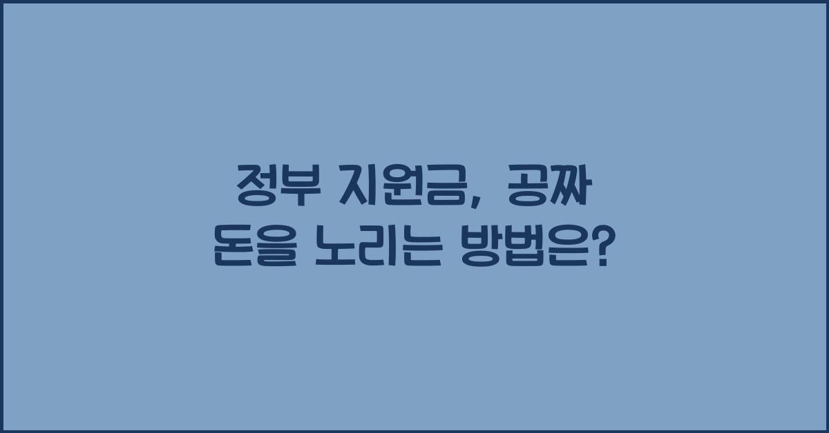 정부 지원금