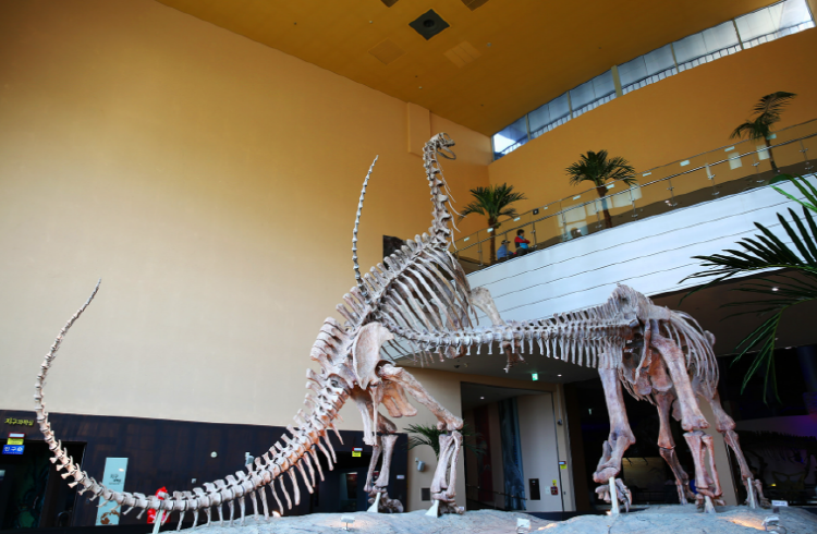 해남 공룡박물관