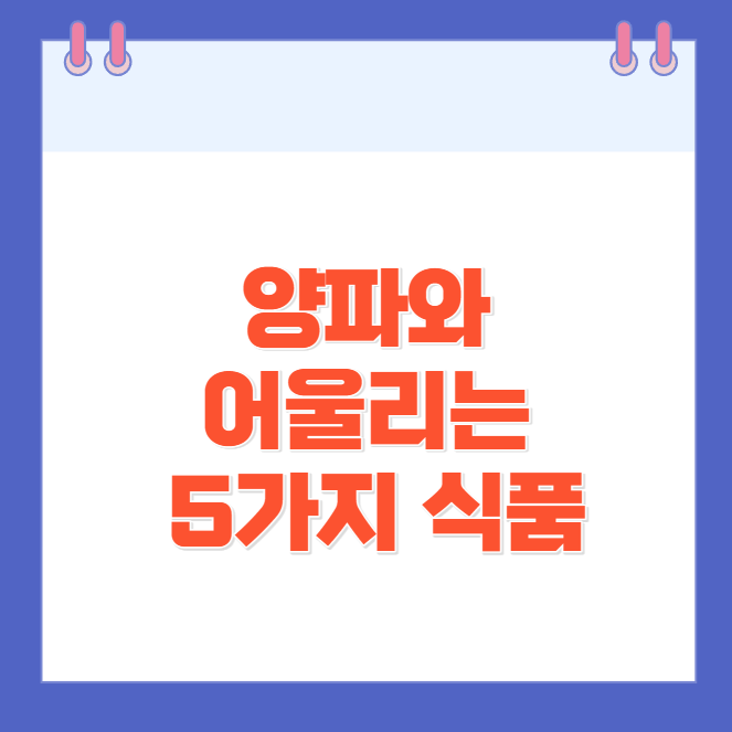 양파와 어울리는 5가지 식품