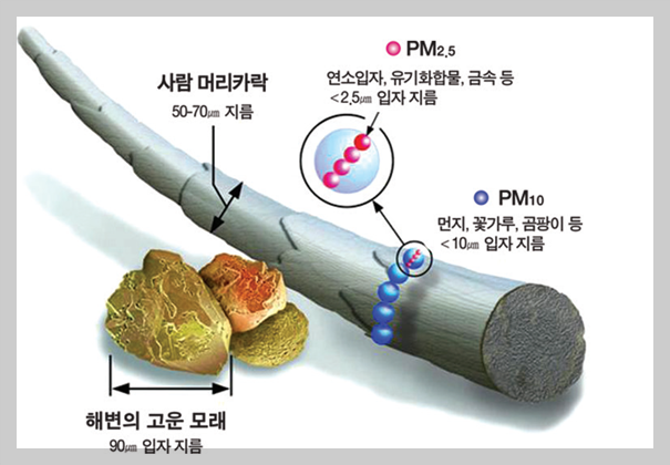 미세먼지 입자