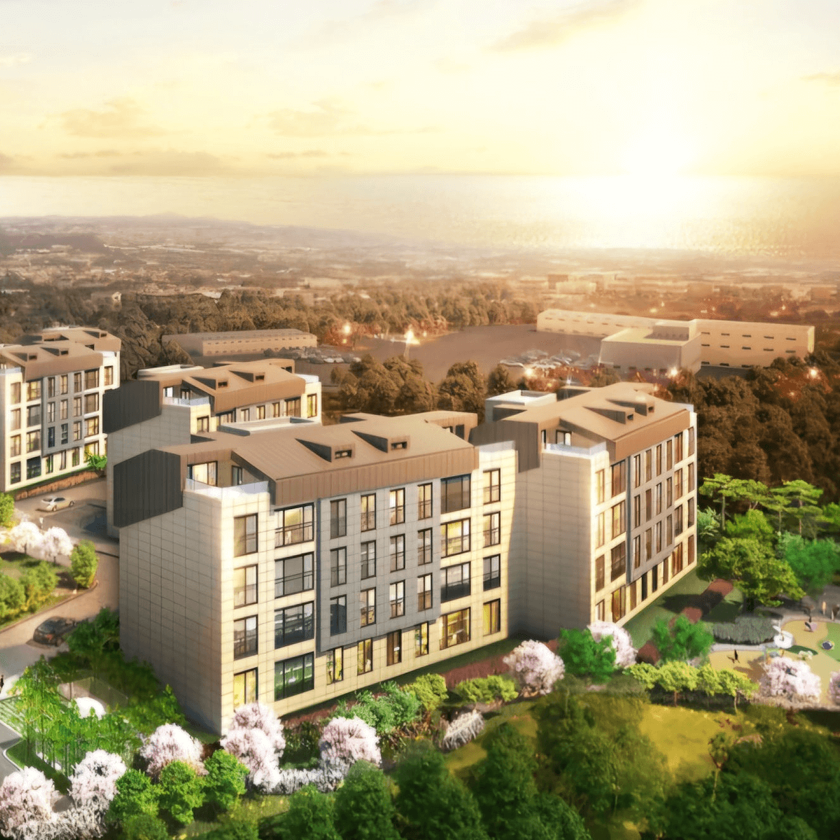 트라움 제주 더힐