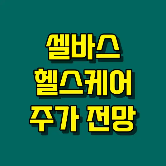 셀바스헬스케어 주가 전망