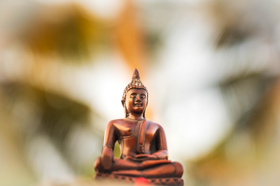 Meditation