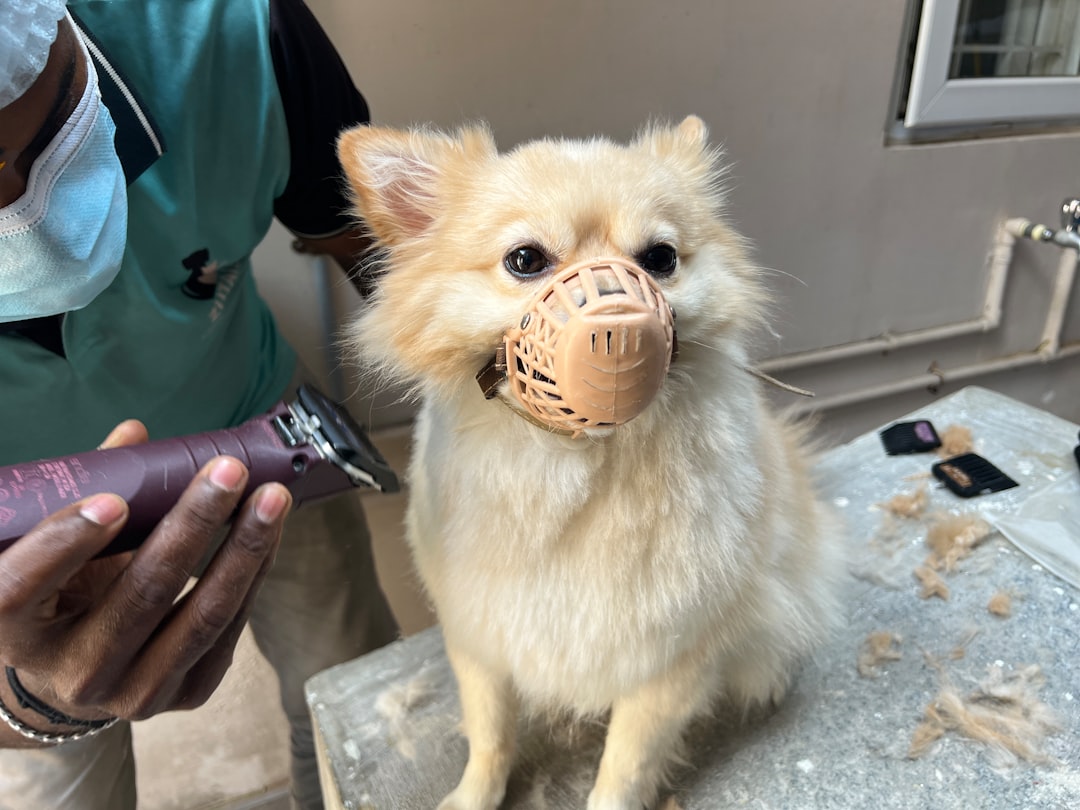 Grooming
