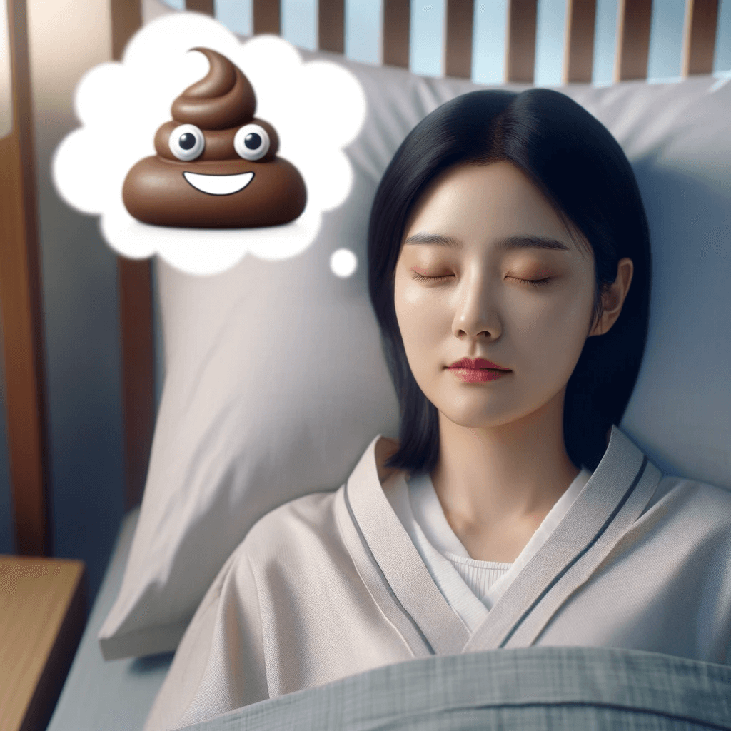 똥 꿈 꾸는 여자