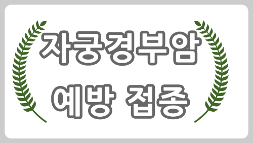 부평 자궁 경부암 예방 접종