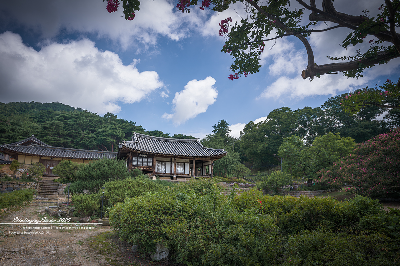 #논산 #명재고택 #고택 #배롱꽃