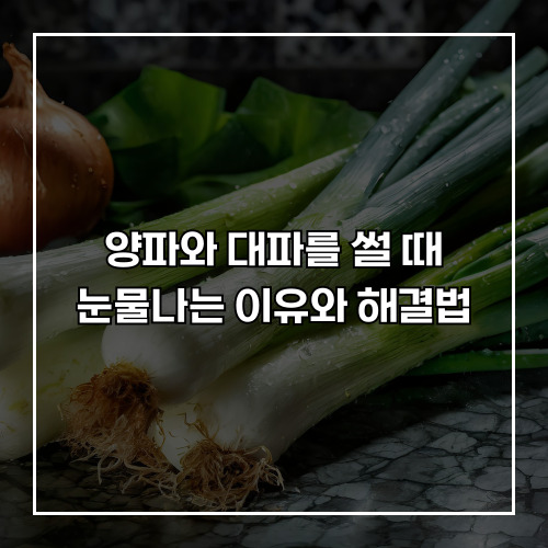 양파와 대파를 썰 때 눈물나는 이유와 해결법