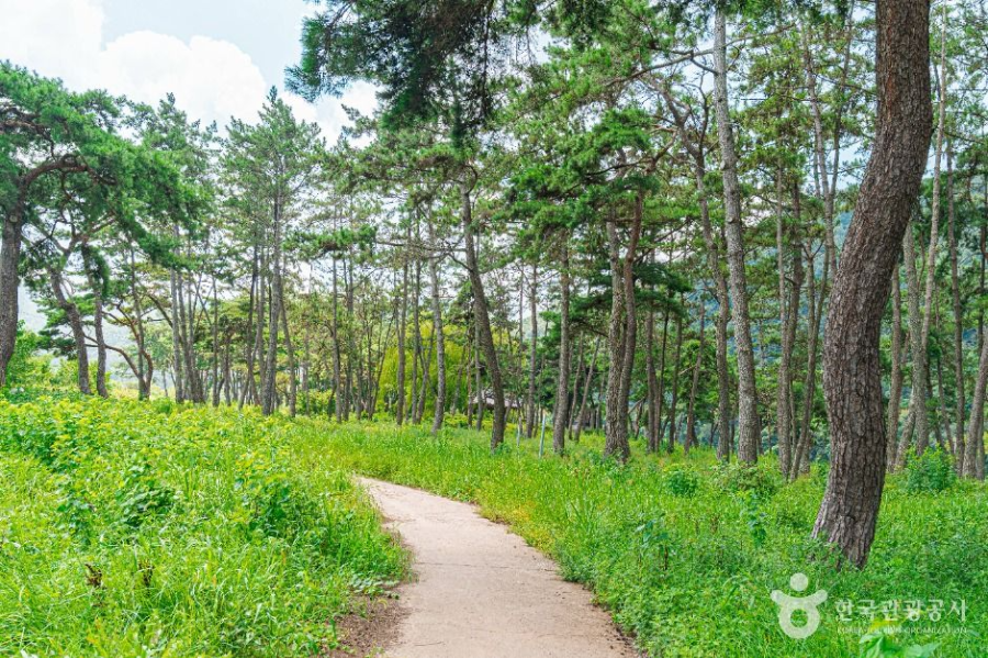 나주 가볼만한 곳