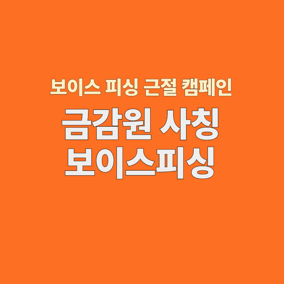 금감원 보이스피싱 실제 피해사례와 예방법 총정리