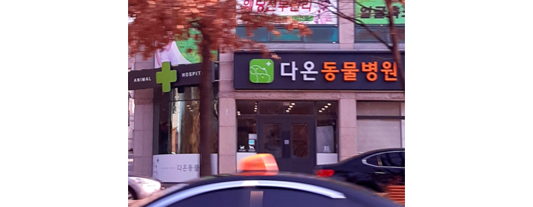 구미시 동물병원