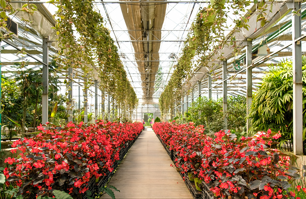 대한민국 보물정원 <아산 365일 꽃 피는 정원>