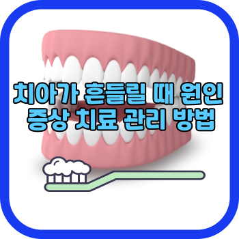 치아가 흔들릴 때 원인 증상 치료 관리 방법