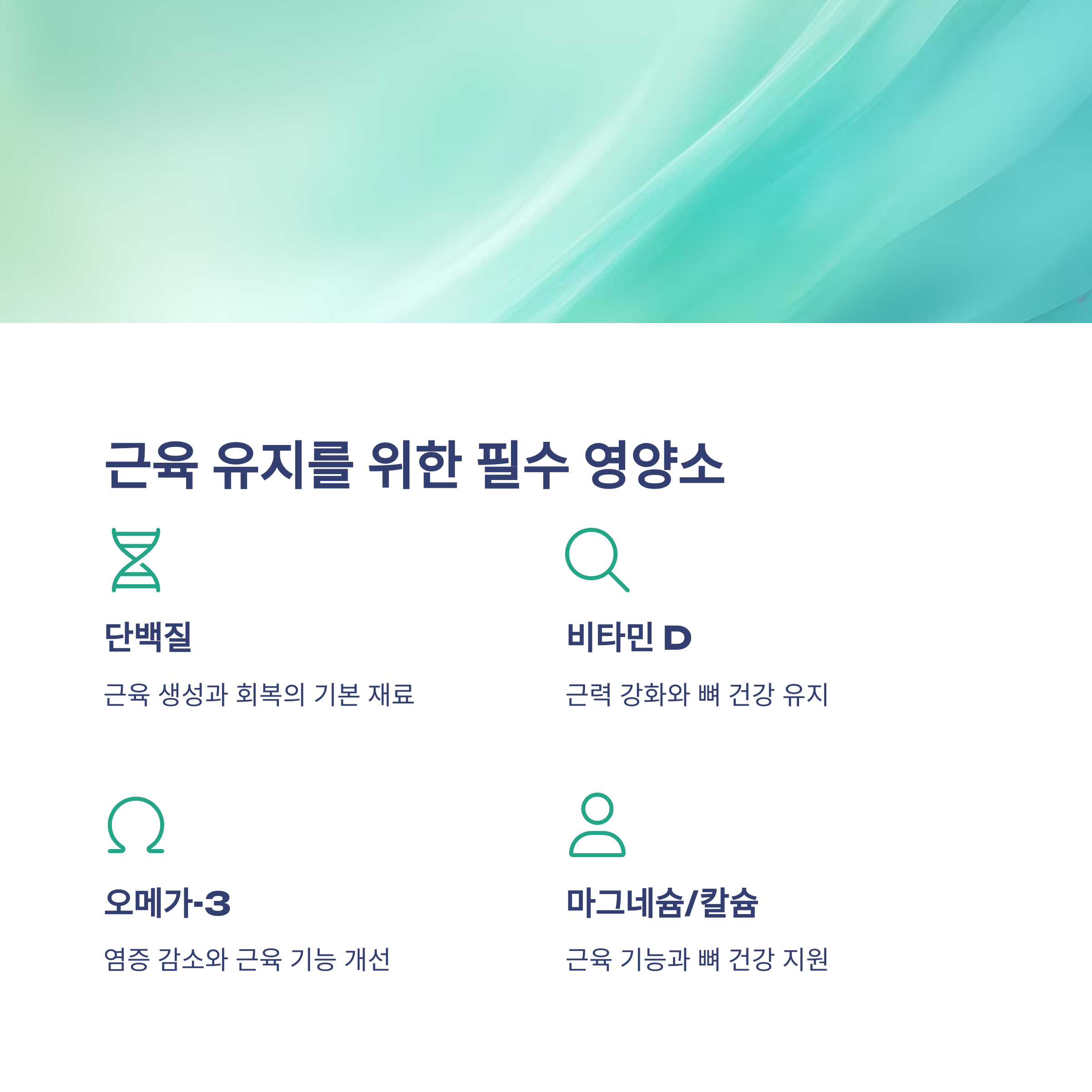 근육 유지 필수 영양소