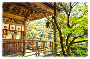 나고야 (Nagoya)