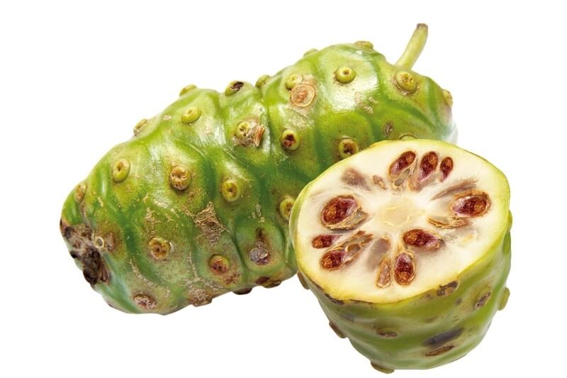 노니 효능 부작용 분말 복용법 48