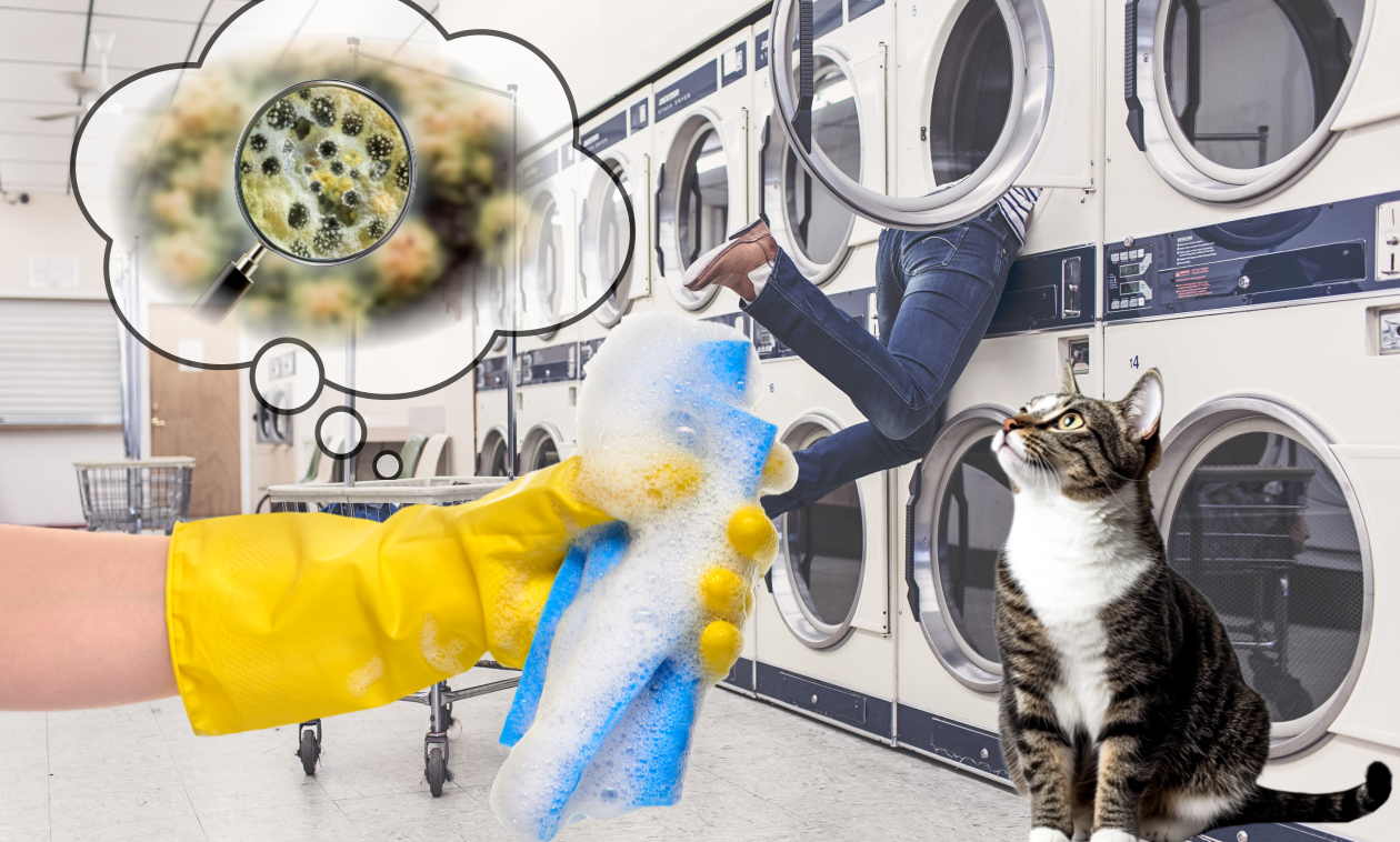 세탁기 곰팡이 청소